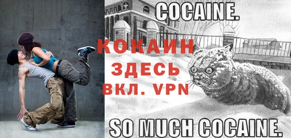 соль ск Богородск