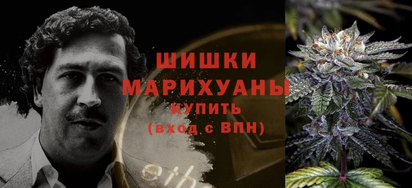 амф Богородицк