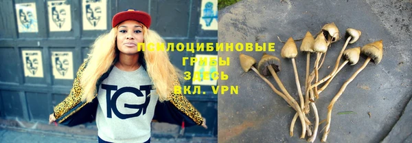 бошки Богданович