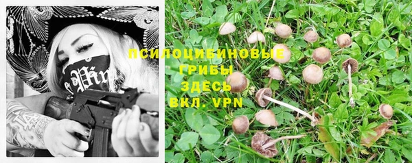 амф Богородицк